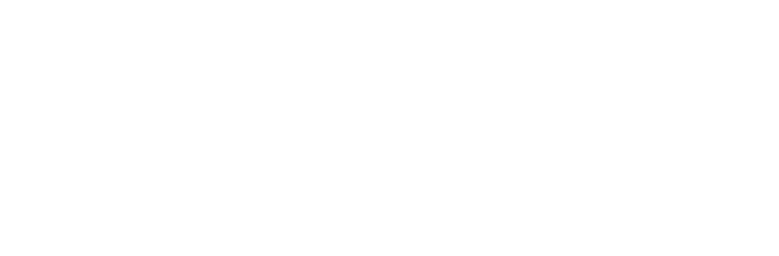 Birth Coach logo