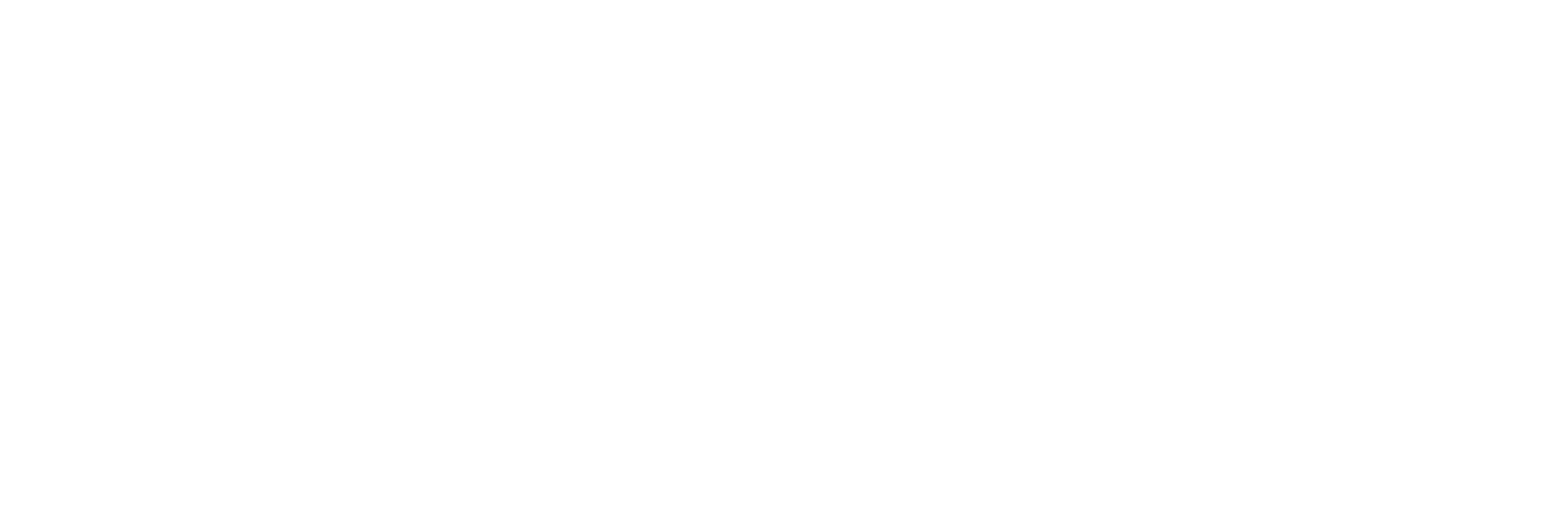Birth Coach logo